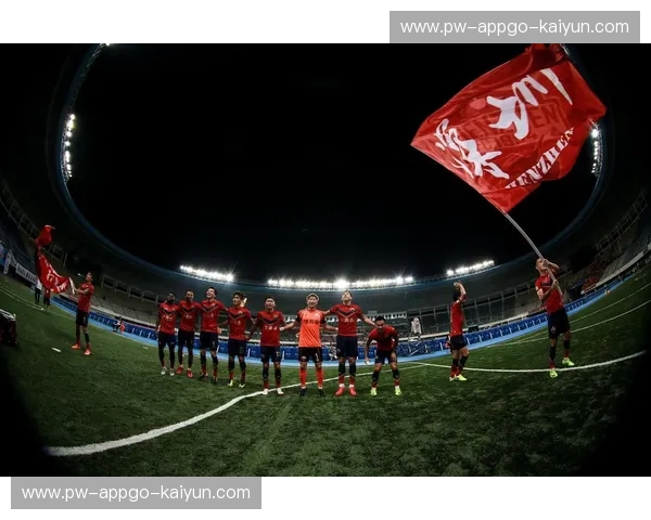 江苏苏宁，昔日荣光与申鑫的回响：一场关于足球与记忆的对话